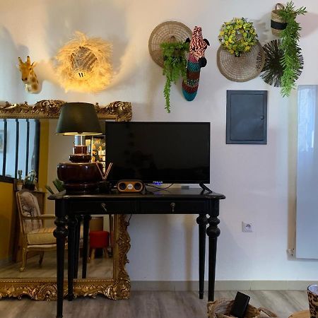 Appartement Cosy Le Safari Avec Wifi Annonay Exterior photo