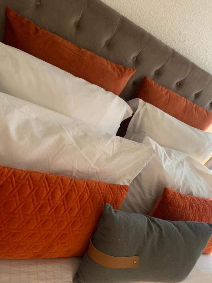 Appartement Cosy Le Safari Avec Wifi Annonay Exterior photo